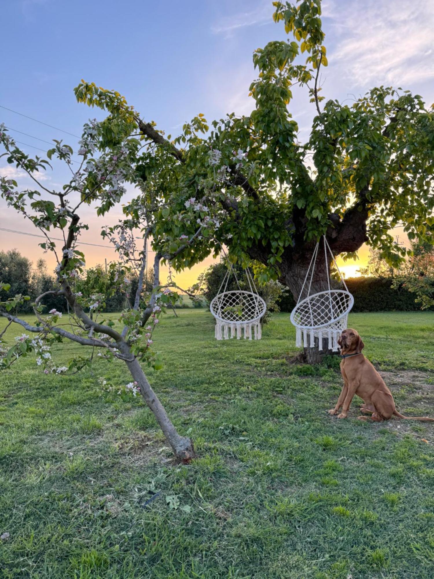 Agriturismo Le Grange Villa Numana Esterno foto